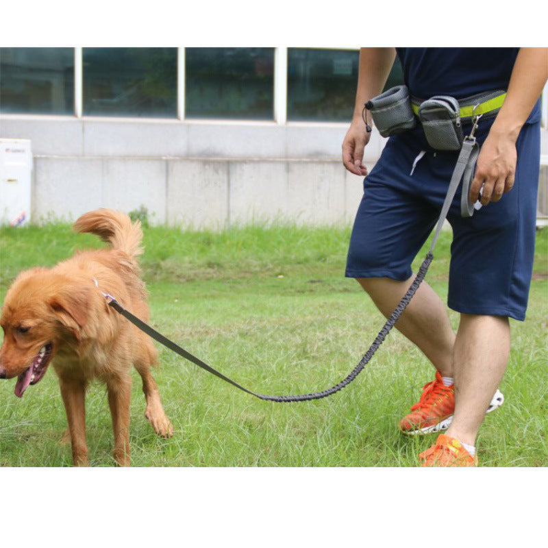 {{Laisse mains-libres pour chien}} – Produit tendance La Petite Trend.