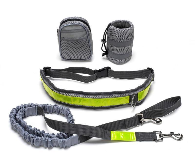{{Laisse mains-libres pour chien}} – Produit tendance La Petite Trend.