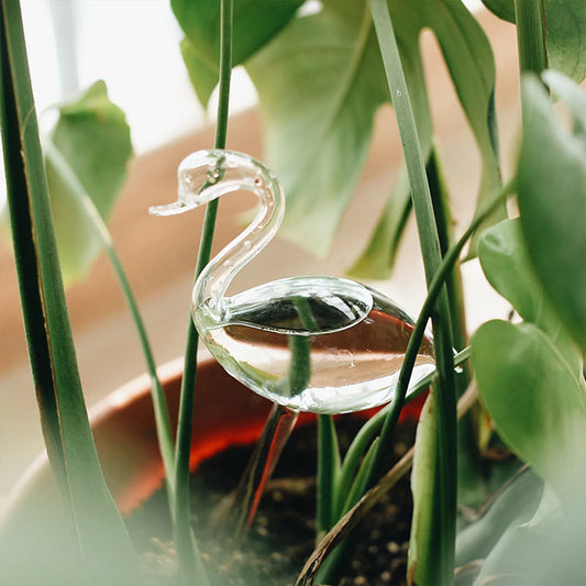 Arroseur automatique en verre transparent en forme de cygne inséré dans un pot de plante d’intérieur à grandes feuilles vertes