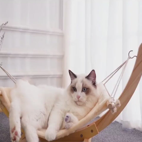{{Hamac pour chat}} – Produit tendance La Petite Trend.